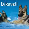 Diksvell.jpg