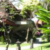 Отель Бали Тропик