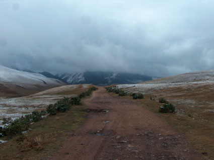 Дорога, летяшая вдаль