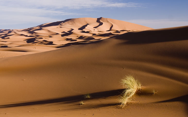 marocco