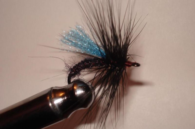 Flake Midge_blue