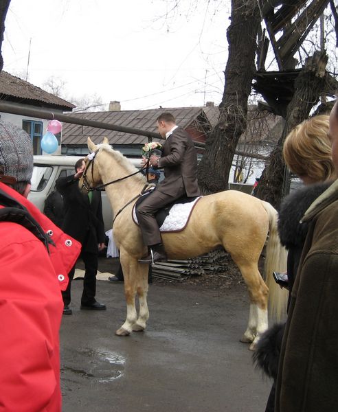 Свадьба и кони