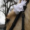 Свадьба и кони