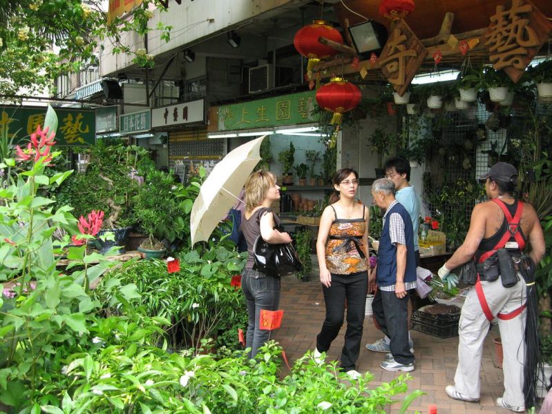 Flower Street