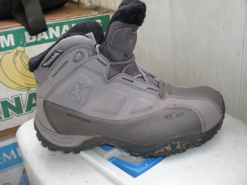 Salomon'ы 1