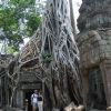В затеряных замках Ангор Ват, Камбоджа