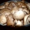 Ведерко грибов