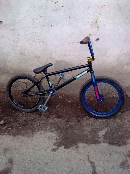 BMX1