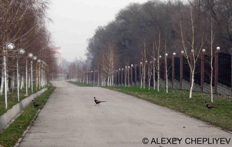 Дендра Парк