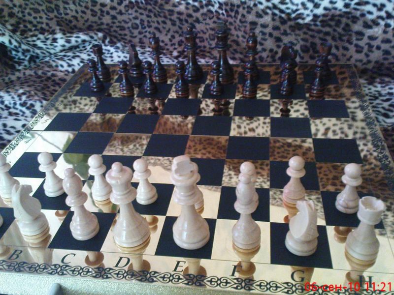 новые шахматы2