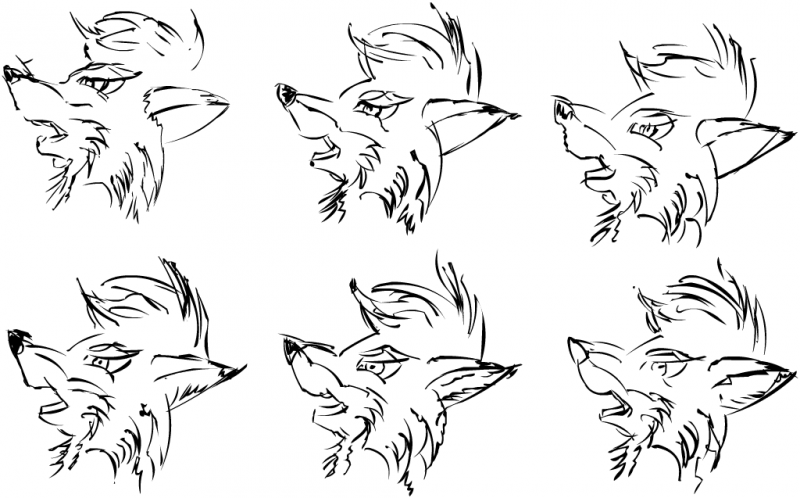 FoxHead