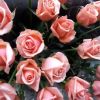 Букет из 25 роз Romance