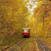 Train In The forest