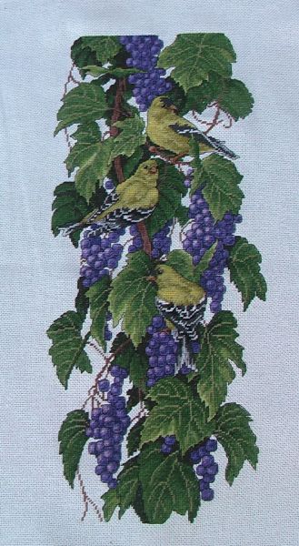 птички на винограде