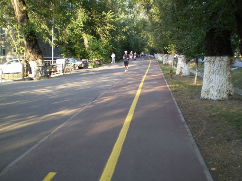 Первая и пока единственная велодорожка в Алматы (вдоль пр.им.Абая)