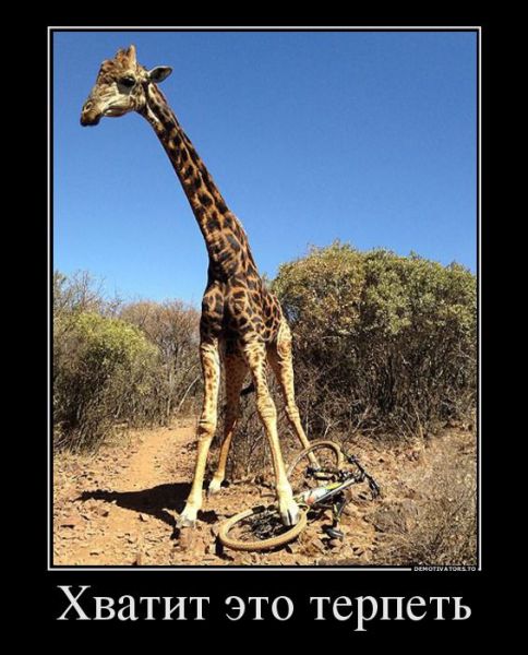 жирафо