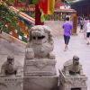 66. Храм Юнхэгун, драконо черпахи и льво собака