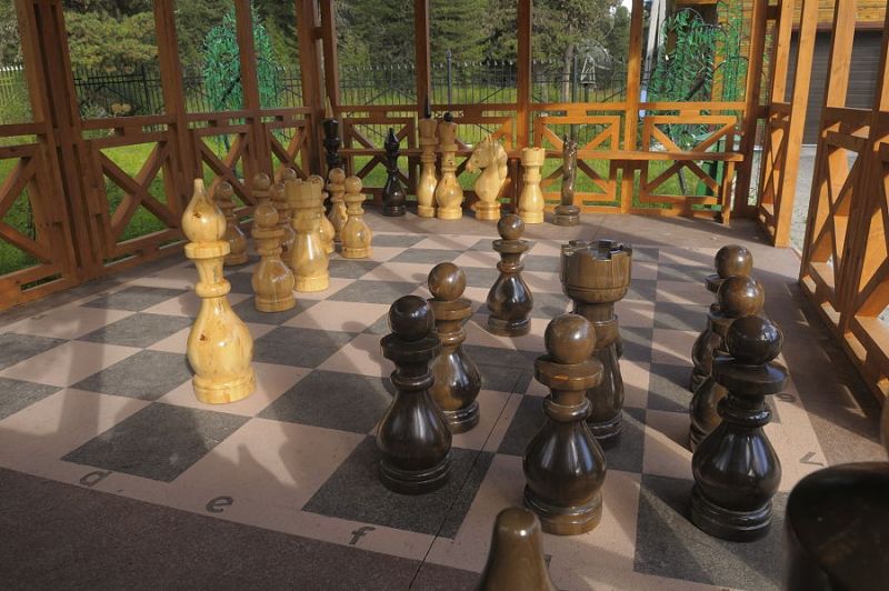 Для любителей шахмат