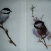 Птички от Теренс Нолан