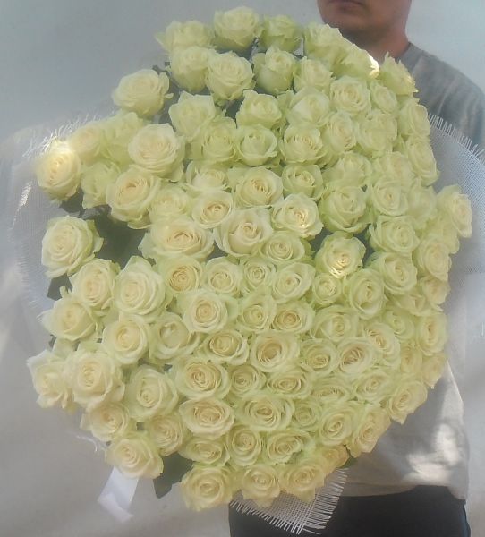 101 белая роза, 70 см