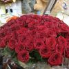 101 Red rose