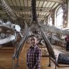 Les Galeries de Paléontologe et d'Anatomie comparée