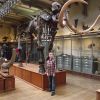 Les Galeries de Paléontologe et d'Anatomie comparée