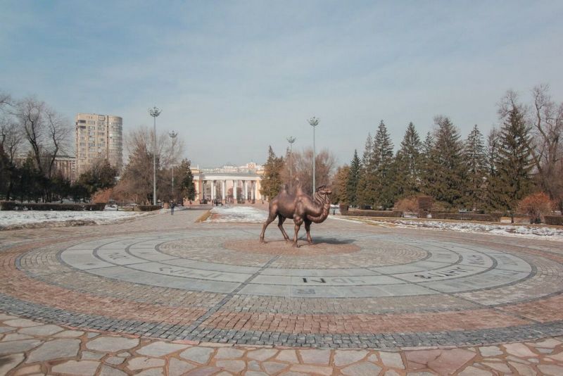 Верблюд в центре парка горького Алматы