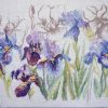 Irisses (Lanarte)