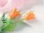 Излишки цветочков от 200 тг - последнее сообщение от nadiyushka