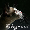 Фотография Sky-cat