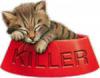 Менеджер по продажам - последнее сообщение от Kitten-Killer