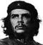 Американская Акита - последнее сообщение от Che