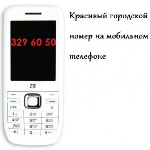 Городской номер на сотовый телефон. Городской номер телефона. Городские и Сотовые номера телефонов. Номер телефона Литвина. Номер телефона 329-50-50.