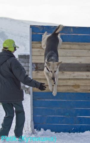 Веста барьер 13-01-13.jpg