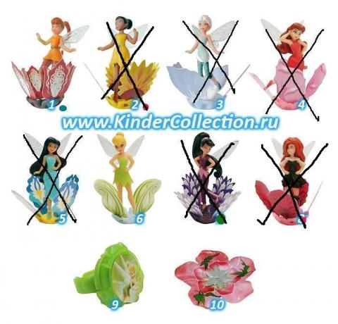 DisneyFairies_2014.jpg