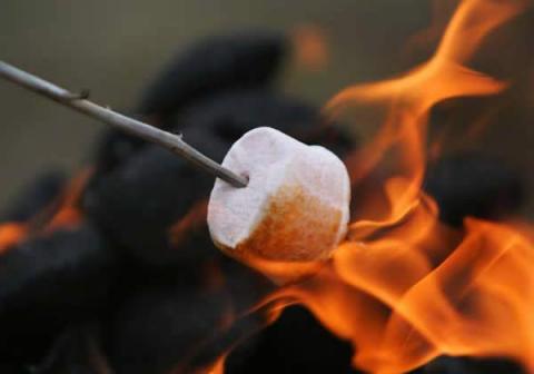 marshmallow10.jpg