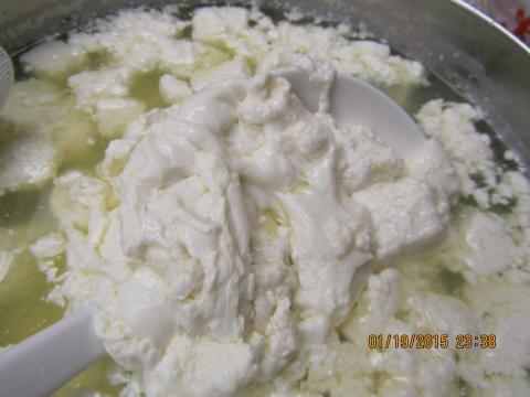 CHEESE MAKING. Mozarella 1 005.jpg