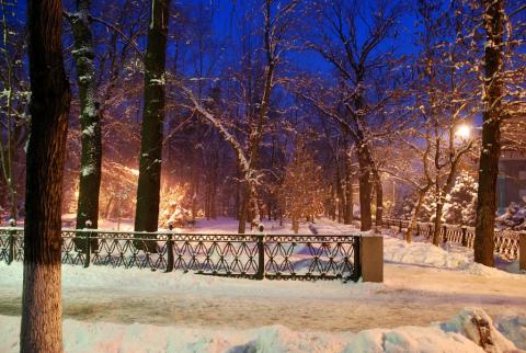 Зимнее утро в городском парке.jpg