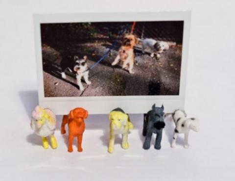 funny-diy-dog-photo-stands-5-500x384.jpg