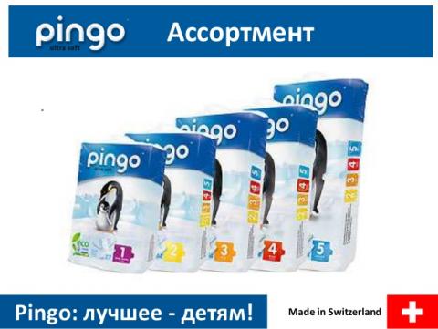 pingo-16-638.jpg