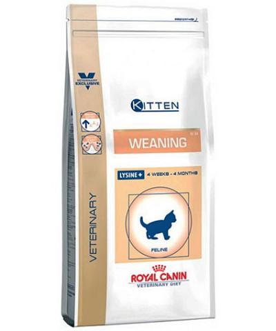 Royal_Canin_Wean_540d4e2c6b9dd.jpg