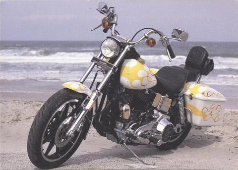 Harley-Davidson  Custom.jpg