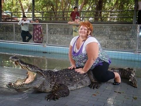 a crocodile.jpg