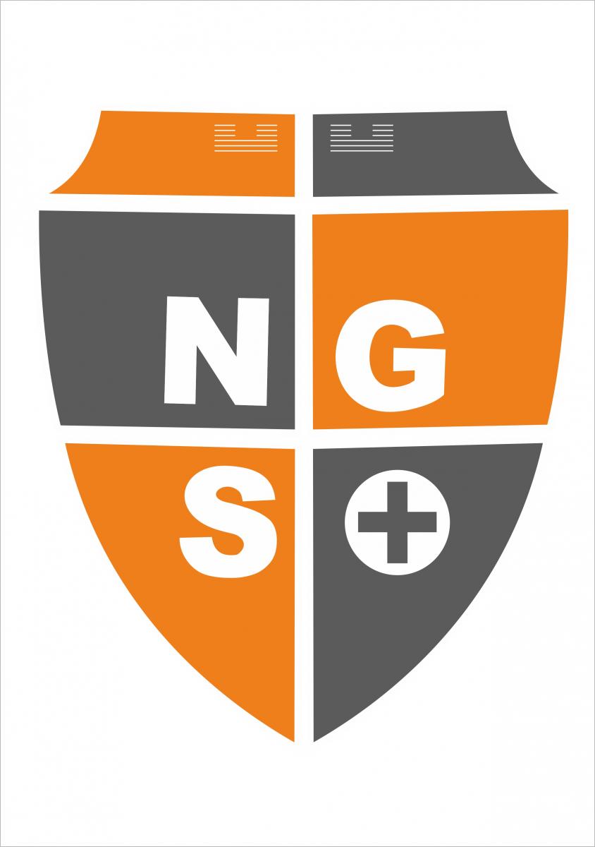 Ngs. NGS logo. НГС фирма. ИНФРАНГС лого. NGS neogroupstayl logo.