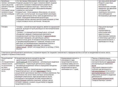 таблица уч-ков мозга 3.JPG