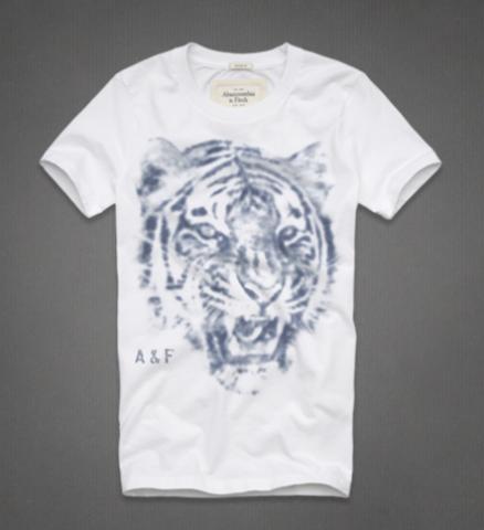 Abercrombie men's T-Shirt 1271.jpg