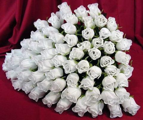 Белые розы1.jpg