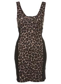 leopard dress.jpg