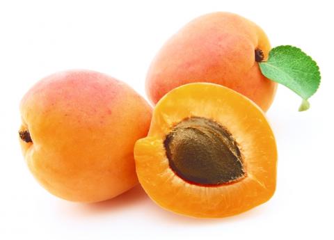 Apricot.jpg